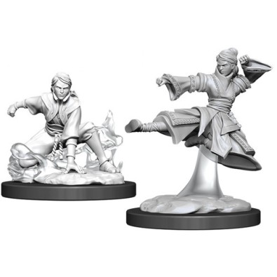 D&D Nolzur's Marvelous Miniatures - Female Human Monk D&D Nolzur's Marvelous Miniatures - Female Human Monk