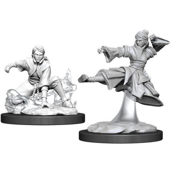 D&D Nolzur's Marvelous Miniatures - Female Human Monk