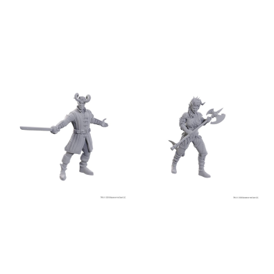 D&D Nolzur's Marvelous Miniatures: Special Edition Baldur's Gate 3 — Wyll & Karlach D&D Nolzur's Marvelous Miniatures: Special Edition Baldur's Gate 3 — Wyll & Karlach