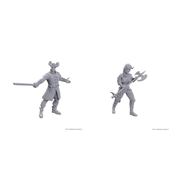 D&D Nolzur's Marvelous Miniatures: Special Edition Baldur's Gate 3 — Wyll & Karlach