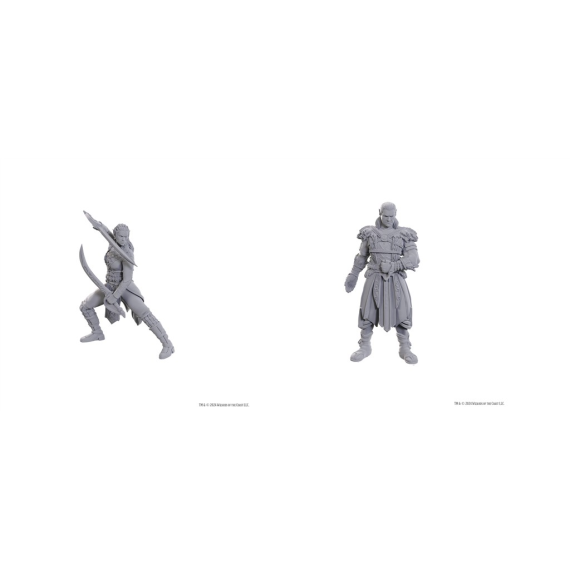 D&D Nolzur's Marvelous Miniatures: Special Edition Baldur's Gate 3 — Jaheira & Halsin