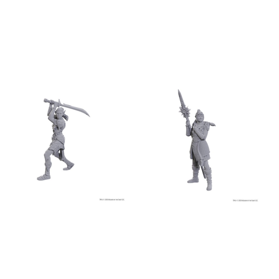 D&D Nolzur's Marvelous Miniatures: Special Edition Baldur's Gate 3 — Lae'zel & Shadowheart