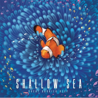 Shallow Sea Shallow Sea