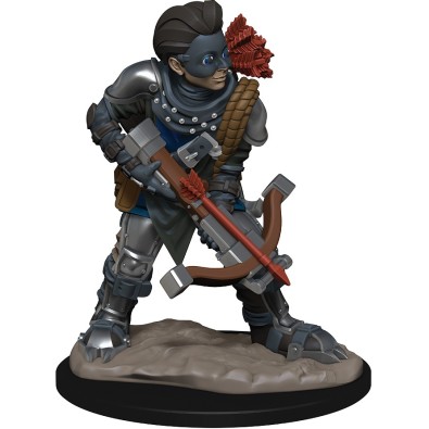 Wardlings: Boy Rogue & Monkey Wardlings: Boy Rogue & Monkey