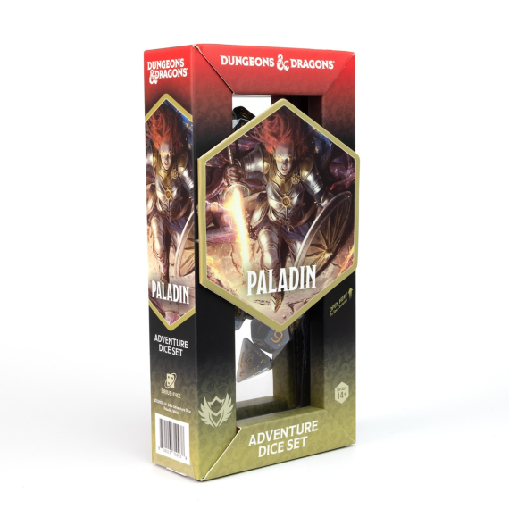 D&D Adventure Dice Paladin White/Grey