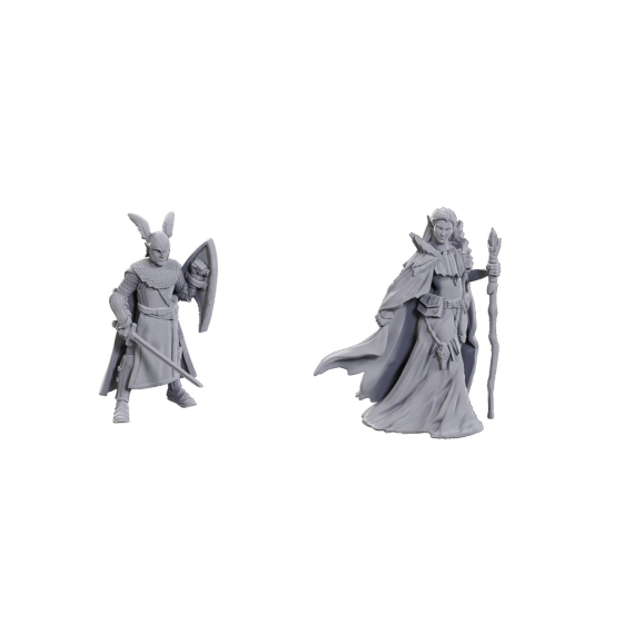 D&D Nolzur's Marvelous Miniatures: Limited Edition 50th Anniversary — Elves