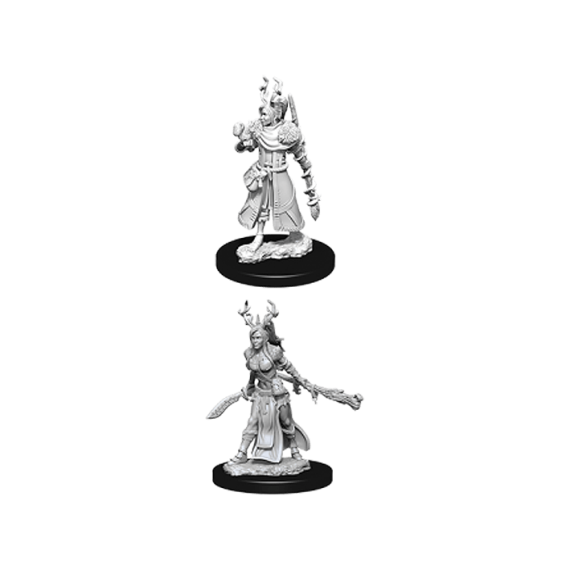 D&D Nolzur's Marvelous Miniatures - Female Human Druid