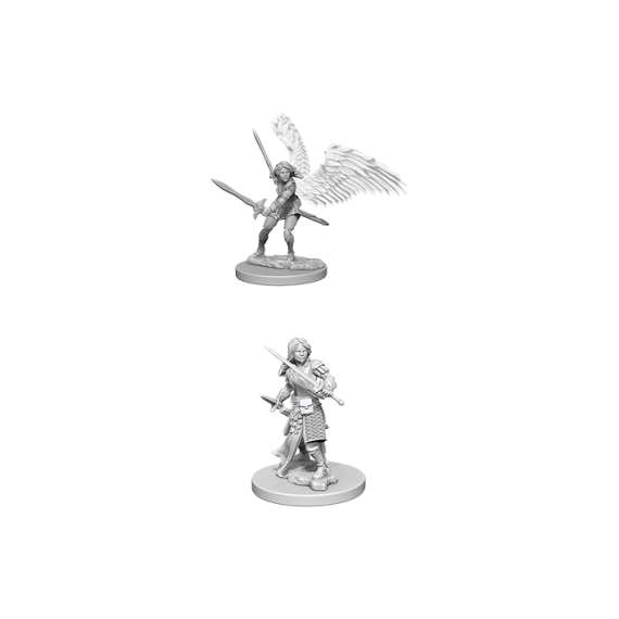 D&D Nolzur's Marvelous Unpainted Miniatures - Aasimar Paladin