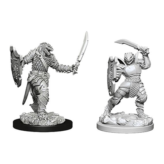 D&D Nolzur's Marvelous Unpainted Miniatures - Dragonborn Female Paladin