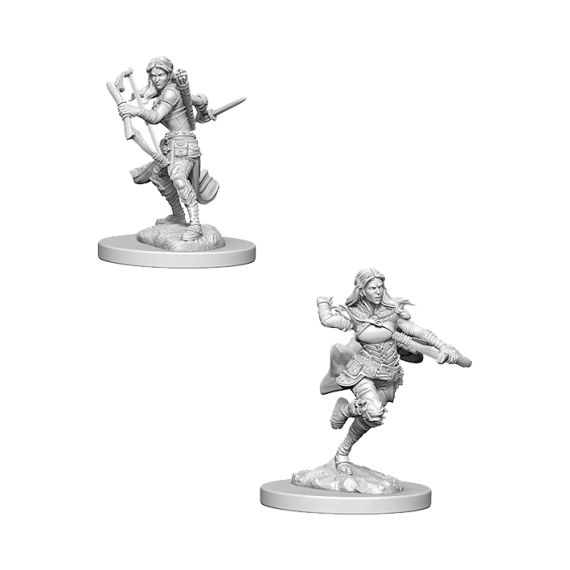 D&D: Nolzur's Marvelous Miniatures - Air Genasi Female Rogue