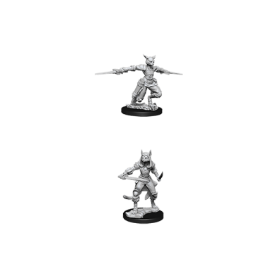 D&D Nolzur's Marvelous Miniatures - Female Tabaxi Rogue D&D Nolzur's Marvelous Miniatures - Female Tabaxi Rogue