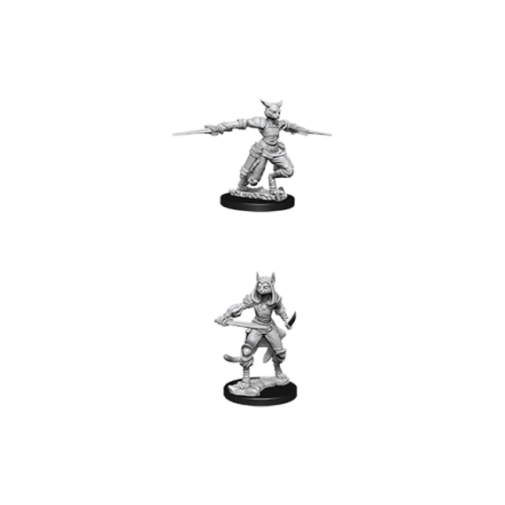 D&D Nolzur's Marvelous Miniatures - Female Tabaxi Rogue