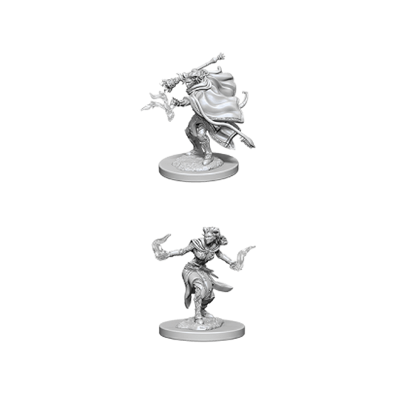 D&D Nolzur's Marvelous Miniatures: Female Tiefling Warlock