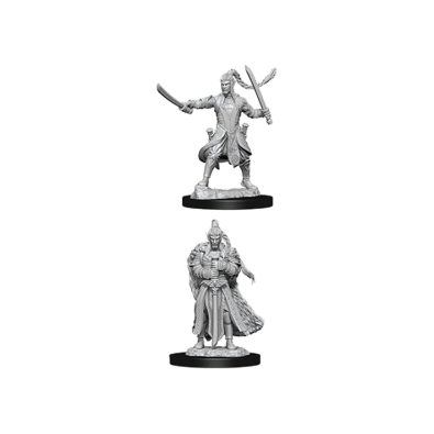 D&D Nolzur's Marvelous Miniatures - Male Elf Paladin D&D Nolzur's Marvelous Miniatures - Male Elf Paladin
