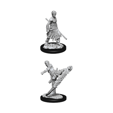 D&D Nolzur's Marvelous Miniatures - Male Half-Elf Monk D&D Nolzur's Marvelous Miniatures - Male Half-Elf Monk