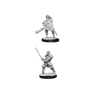 D&D Nolzur's Marvelous Unpainted Miniatures: Male Human Fighter