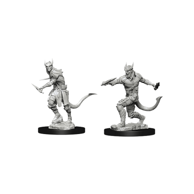 D&D Nolzur's Marvelous Unpainted Miniatures: Tiefling Male Rogue