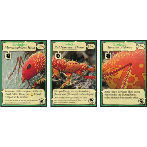 March of the Ants