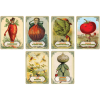 Mr. Cabbagehead's Garden