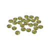 Mr. Cabbagehead's Garden