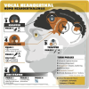 Neanderthal 2nd Edition