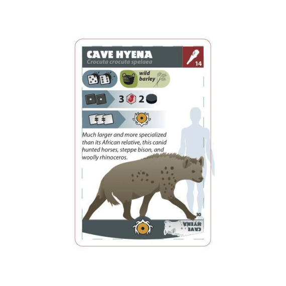 Neanderthal 2nd Edition