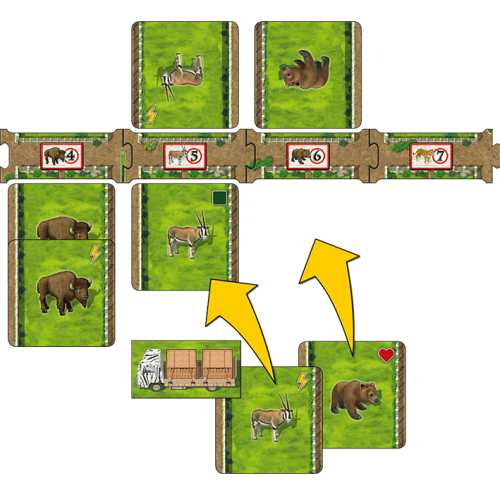 Zooloretto Duell